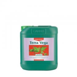 Canna Terra Vega 5 Liter Wuchs