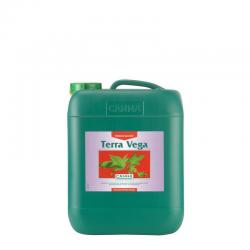 Canna Terra Vega 10 Liter Wuchs