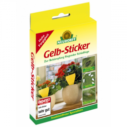 Gelbsticker Neudorff 10er Packung