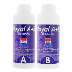 F-Max Royal A&B je 1 Liter Basisdnger