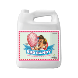 Advanced Nutrients Bud Candy 4 Liter Bltenstimulator