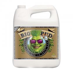 Advanced Nutrients Big Bud Coco 4 Liter