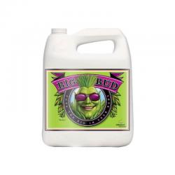 Advanced Nutrients Big Bud 4 Liter - Bltenstimulator